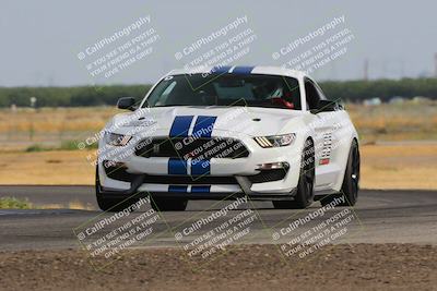 media/Jun-24-2023-Speed SF (Sat) [[1b7e0c161d]]/Gold Group/Session 1 (Sweeper)/